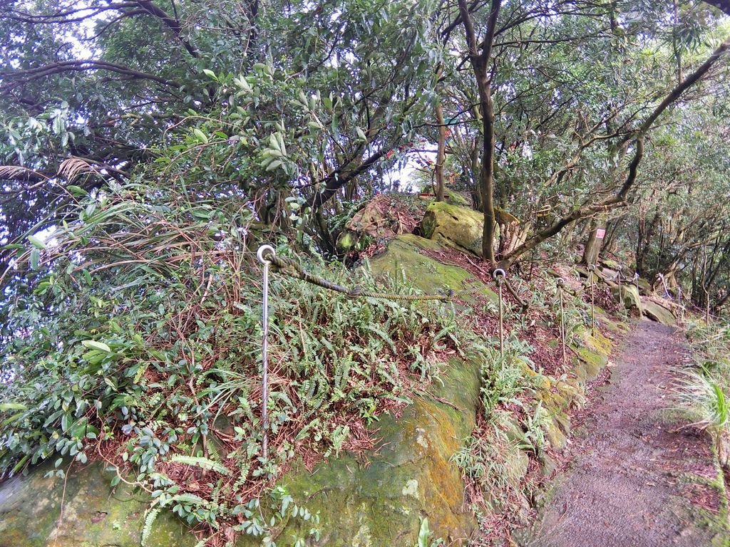 新北三峽登山-鳶山登山步道-三峽老街一覽無遺美景+夜景【丁小羽登山篇】