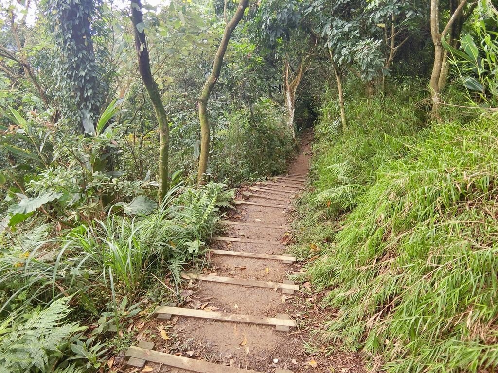 新北三峽登山-鳶山登山步道-三峽老街一覽無遺美景+夜景【丁小羽登山篇】