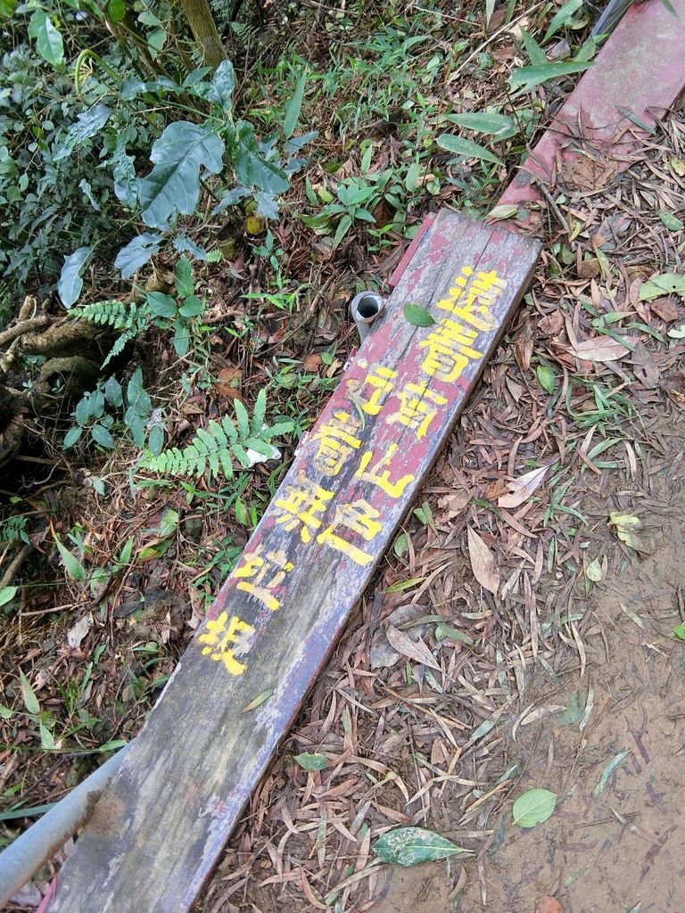 新北三峽登山-鳶山登山步道-三峽老街一覽無遺美景+夜景【丁小羽登山篇】