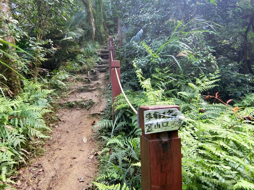 新北三峽登山-鳶山登山步道-三峽老街一覽無遺美景+夜景【丁小羽登山篇】