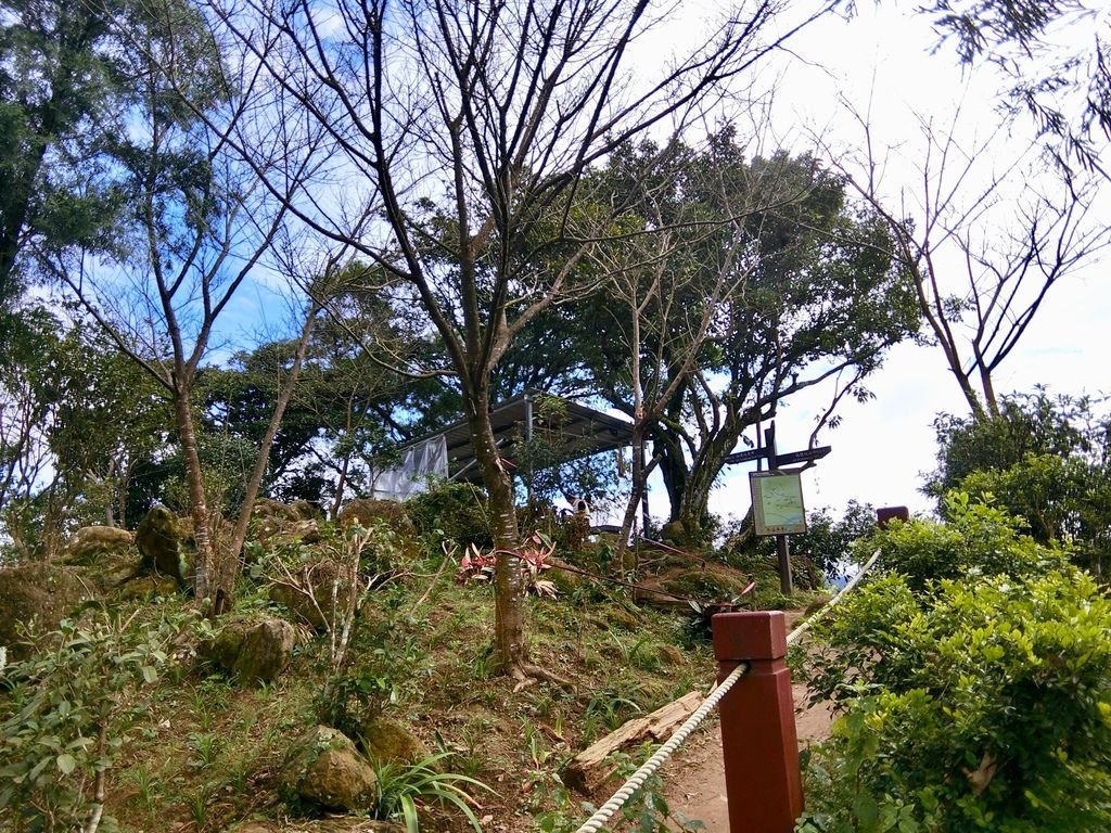 新北三峽登山-鳶山登山步道-三峽老街一覽無遺美景+夜景【丁小羽登山篇】