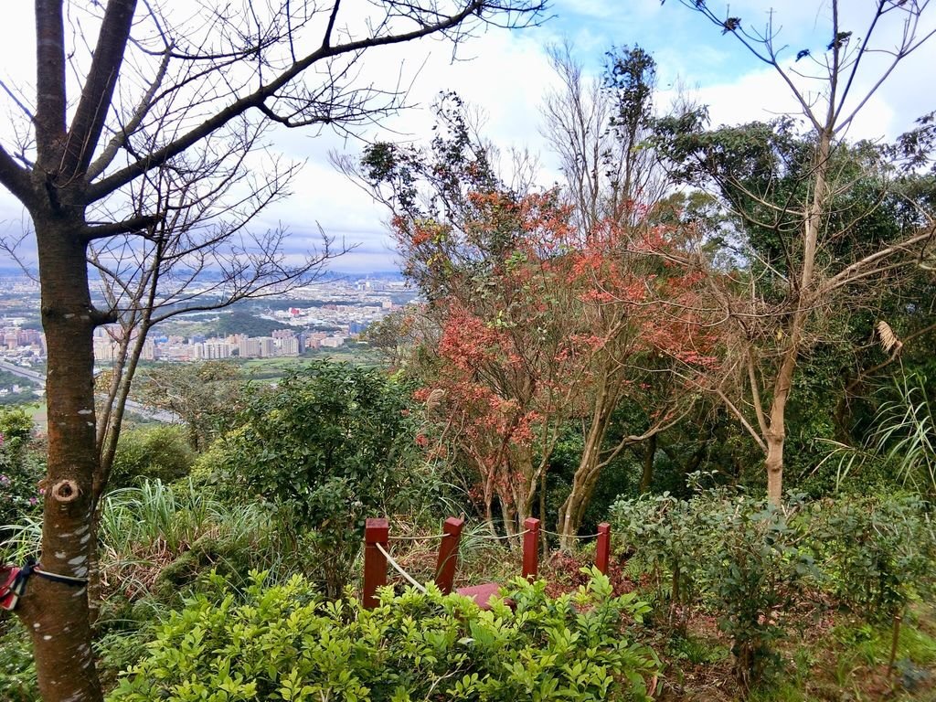 新北三峽登山-鳶山登山步道-三峽老街一覽無遺美景+夜景【丁小羽登山篇】