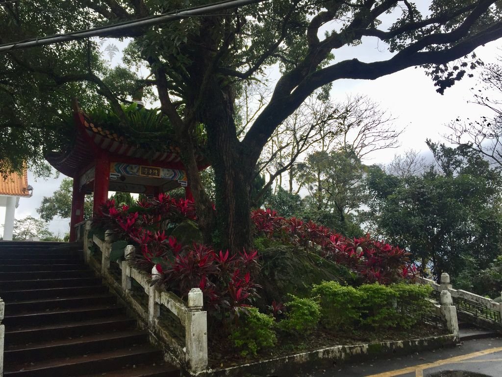 新北三峽登山-鳶山登山步道-三峽老街一覽無遺美景+夜景【丁小羽登山篇】