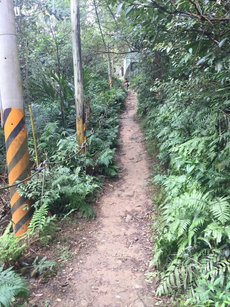 新北三峽登山-鳶山登山步道-三峽老街一覽無遺美景+夜景【丁小羽登山篇】