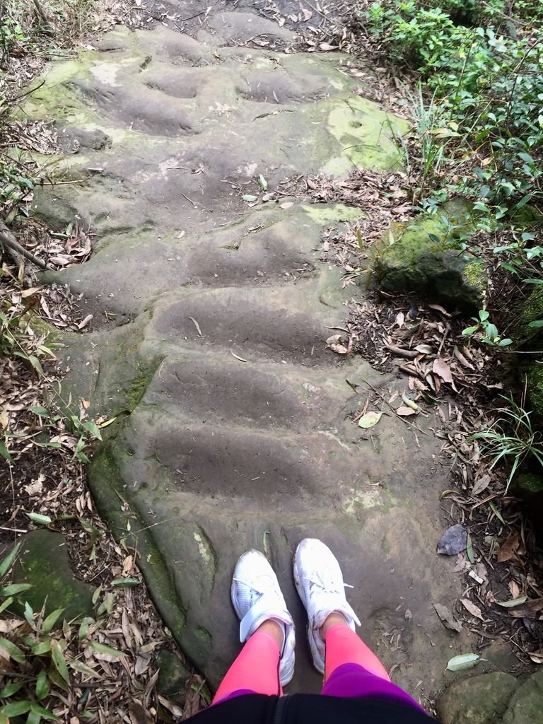 新北三峽登山-鳶山登山步道-三峽老街一覽無遺美景+夜景【丁小羽登山篇】