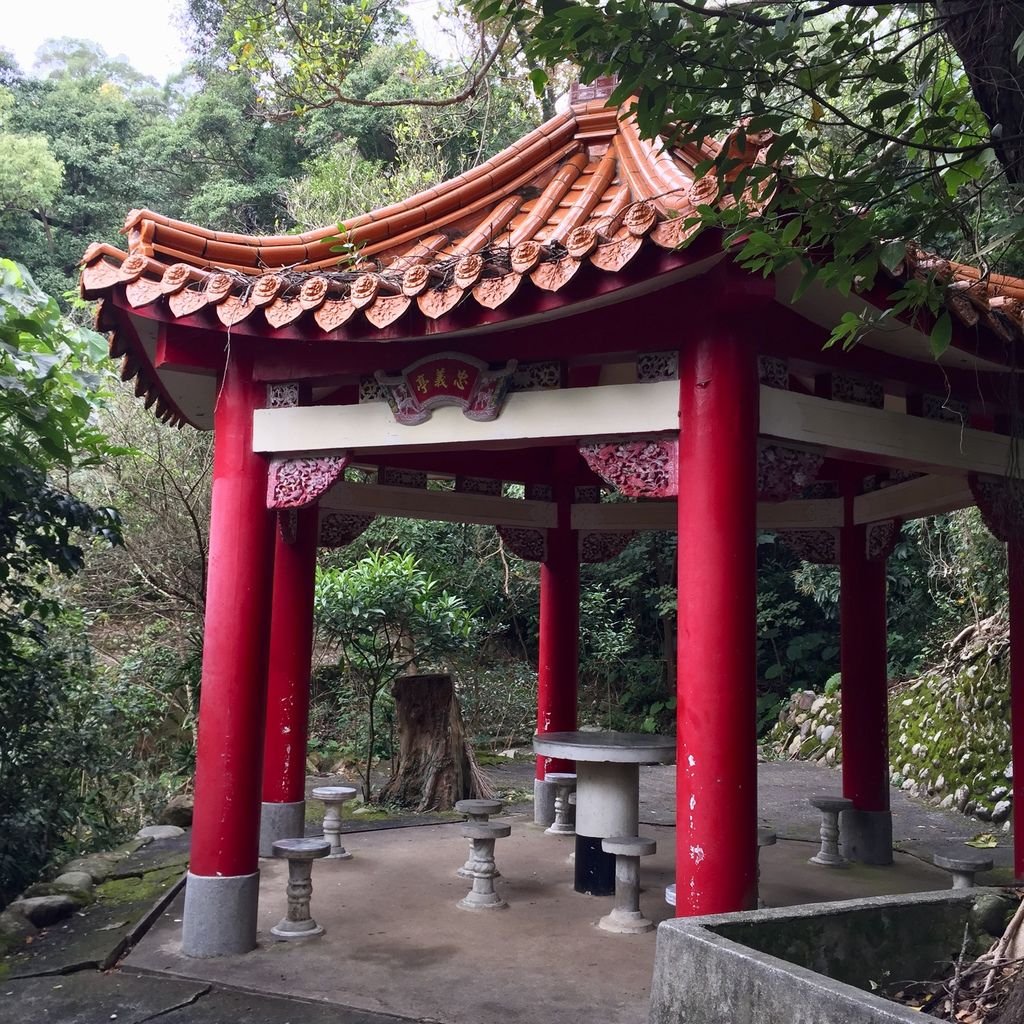 台北登山-忠義山親山步道-北投行天宮白櫻花步道!【丁小羽登山篇】