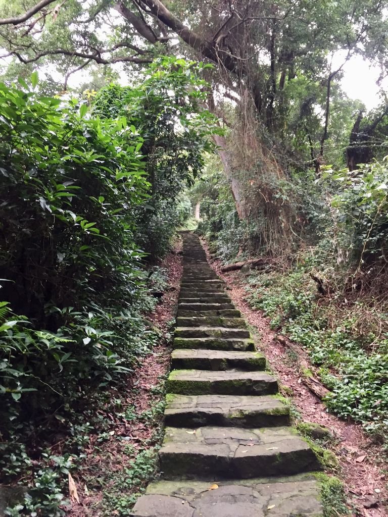 台北登山-忠義山親山步道-北投行天宮白櫻花步道!【丁小羽登山篇】