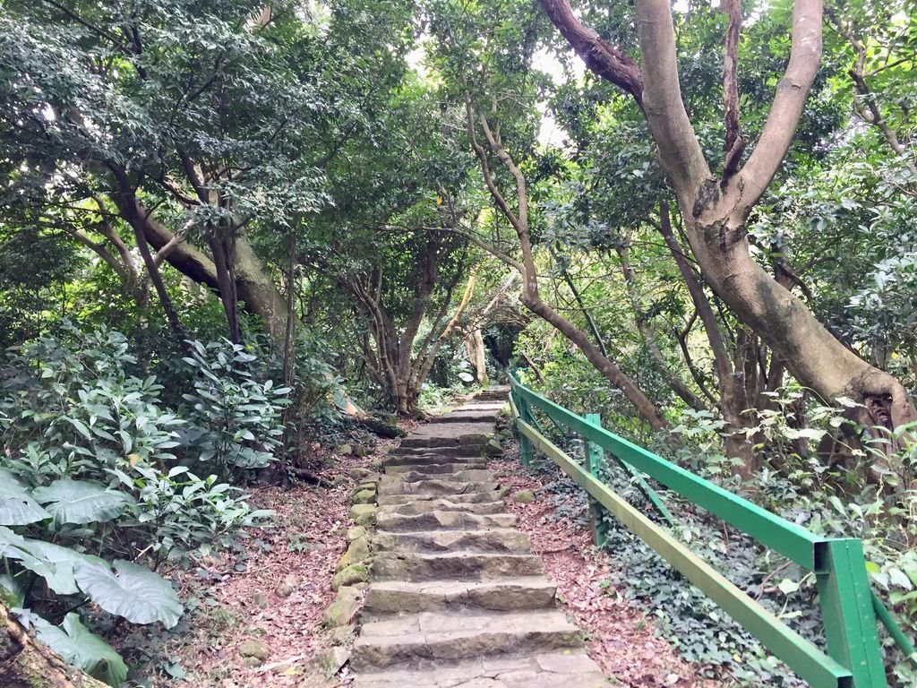 台北登山-忠義山親山步道-北投行天宮白櫻花步道!【丁小羽登山篇】