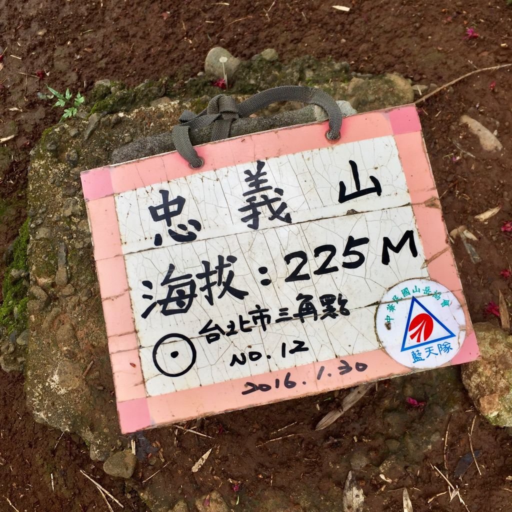 台北登山-忠義山親山步道-北投行天宮白櫻花步道!【丁小羽登山篇】