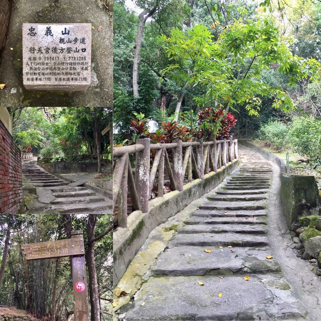 台北登山-忠義山親山步道-北投行天宮白櫻花步道!【丁小羽登山篇】