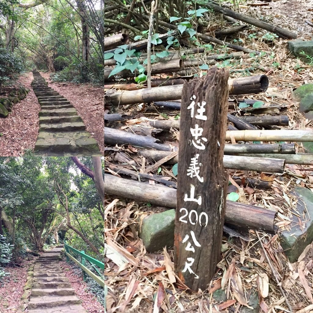 台北登山-忠義山親山步道-北投行天宮白櫻花步道!【丁小羽登山篇】