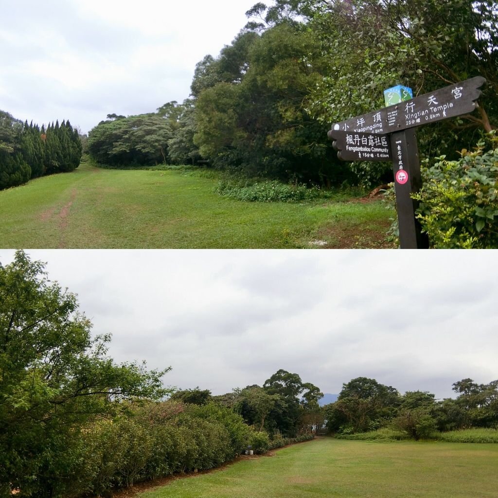 台北登山-忠義山親山步道-北投行天宮白櫻花步道!【丁小羽登山篇】