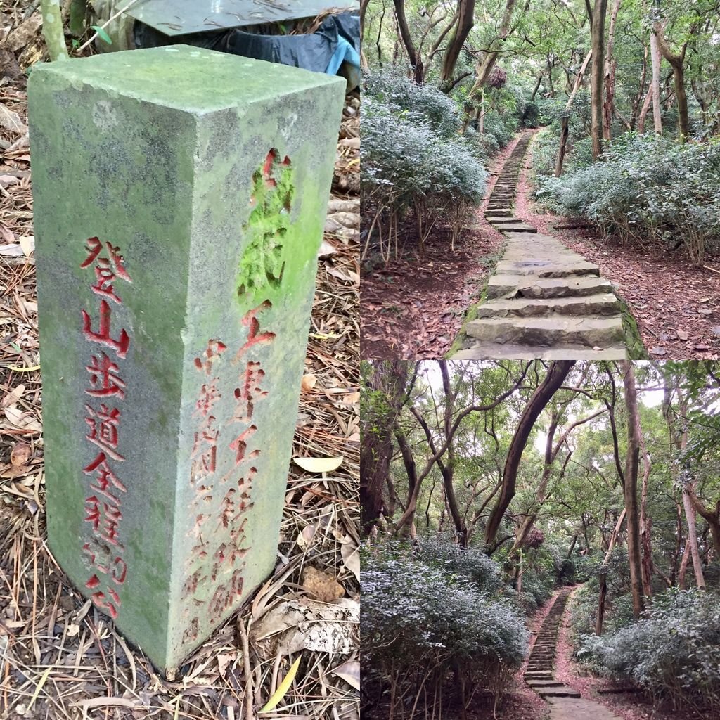 台北登山-忠義山親山步道-北投行天宮白櫻花步道!【丁小羽登山篇】