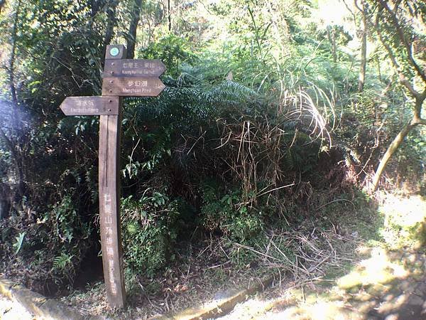 台北登山-台北市第一高峰-七星山主峰東峰!夢幻湖生態步道【丁小羽登山篇】