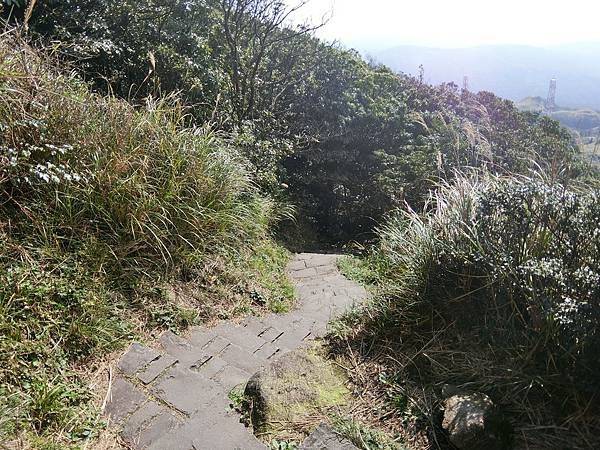 台北登山-台北市第一高峰-七星山主峰東峰!夢幻湖生態步道【丁小羽登山篇】