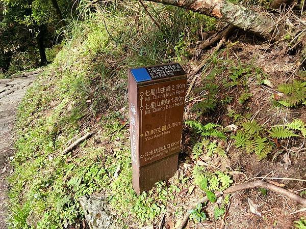 台北登山-台北市第一高峰-七星山主峰東峰!夢幻湖生態步道【丁小羽登山篇】