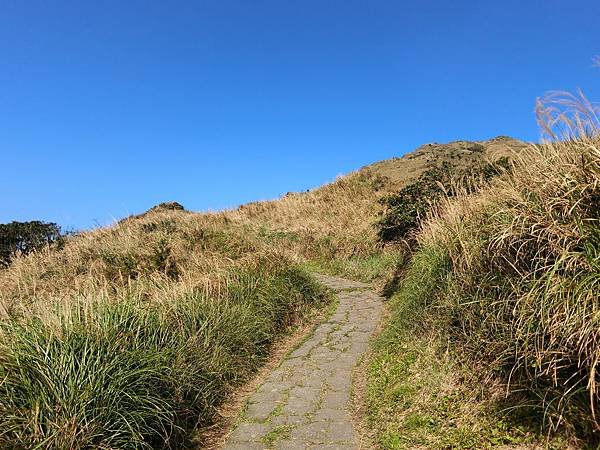 台北登山-台北市第一高峰-七星山主峰東峰!夢幻湖生態步道【丁小羽登山篇】