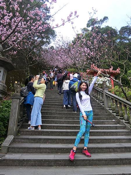 台北登山健行懶人包之內湖區必爬的登山步道有哪些？我來告訴你