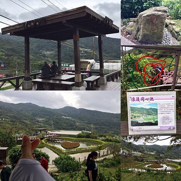 台北登山-內湖碧山巖-白石湖步道!假日輕旅行登山採草莓絕美櫻花步道【丁小羽登山篇】