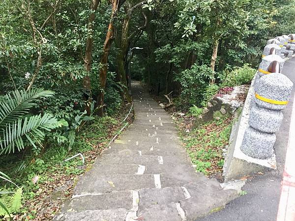 台北登山-內湖碧山巖-白石湖步道!假日輕旅行登山採草莓絕美櫻花步道【丁小羽登山篇】