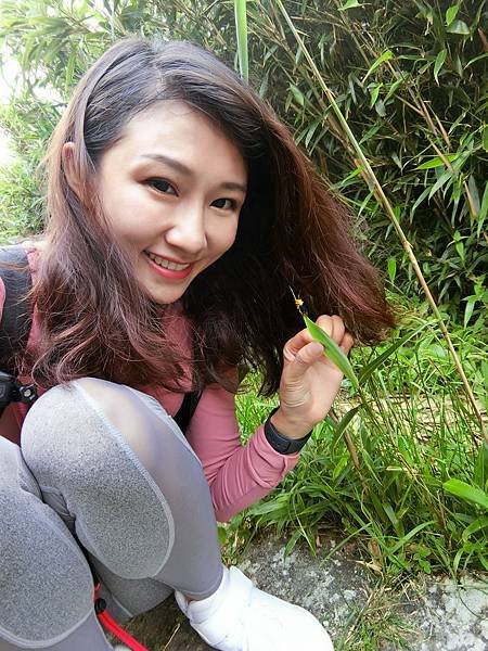 台北登山-大屯山主峰連峰步道!北投爬山必去!台灣唯一活火山【丁小羽登山篇】