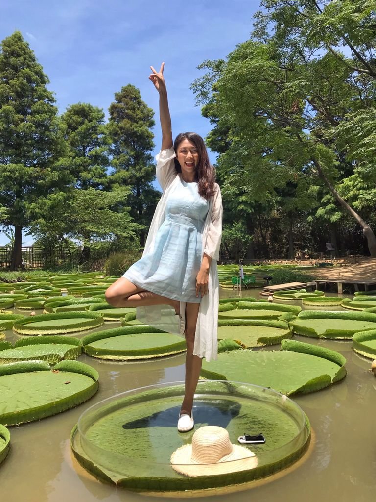 桃園蓮花季-桃園一日遊之在蓮荷園休閒農場乘坐大王蓮【丁小羽旅遊篇】