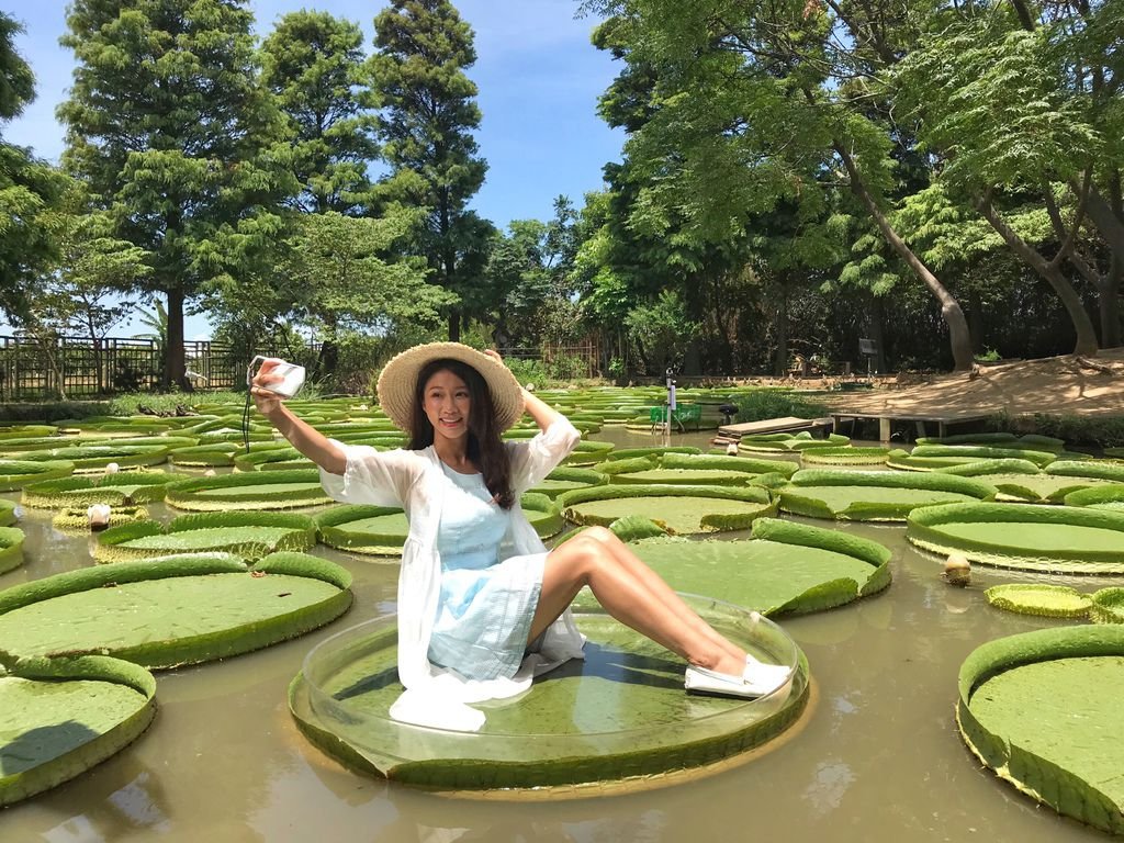 桃園蓮花季-桃園一日遊之在蓮荷園休閒農場乘坐大王蓮【丁小羽旅遊篇】