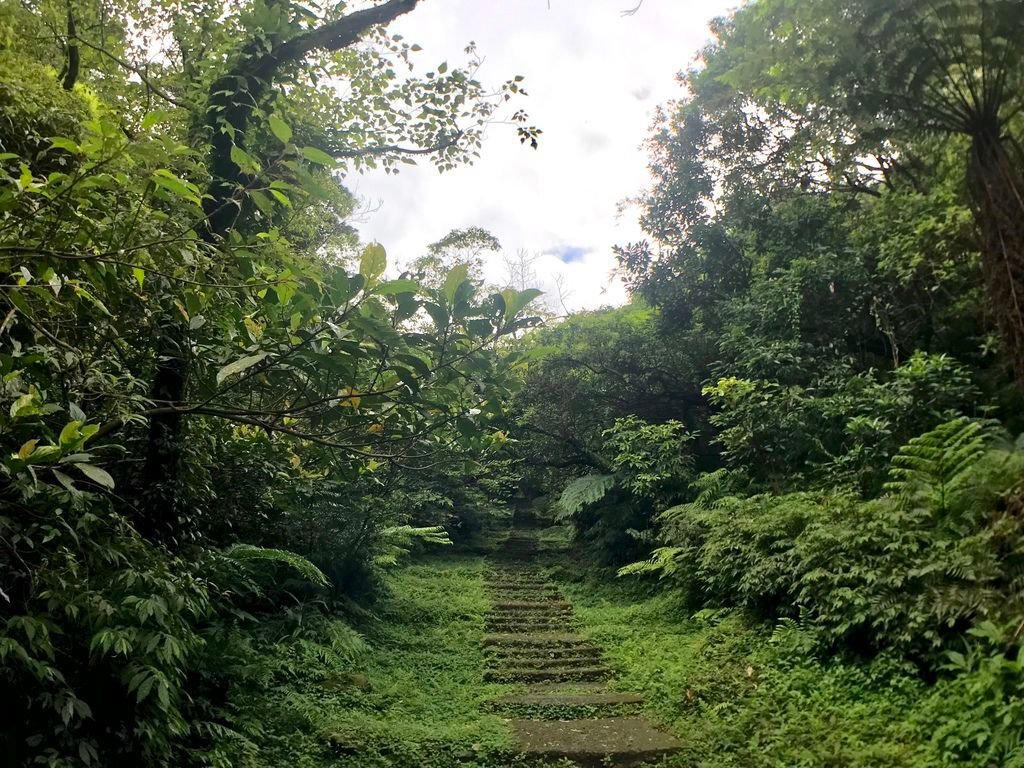 新北登山-瑞芳景點-走訪金字碑古道、寂寞公路跟不厭亭【丁小羽登山篇】