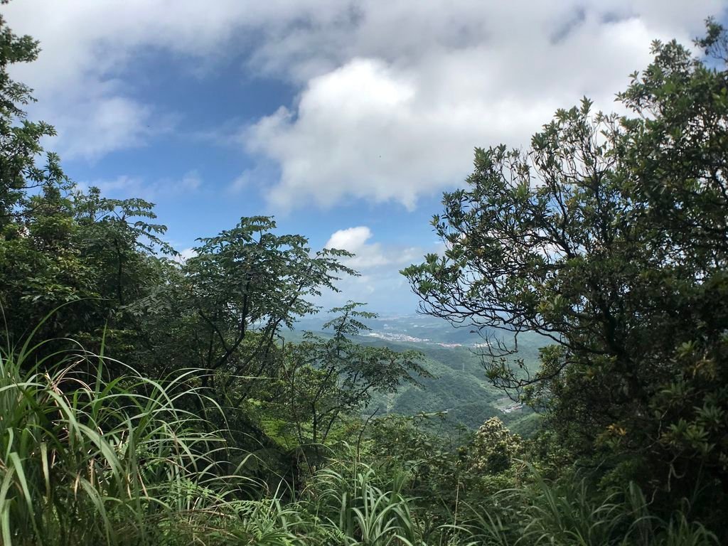 新北登山-瑞芳景點-走訪金字碑古道、寂寞公路跟不厭亭【丁小羽登山篇】