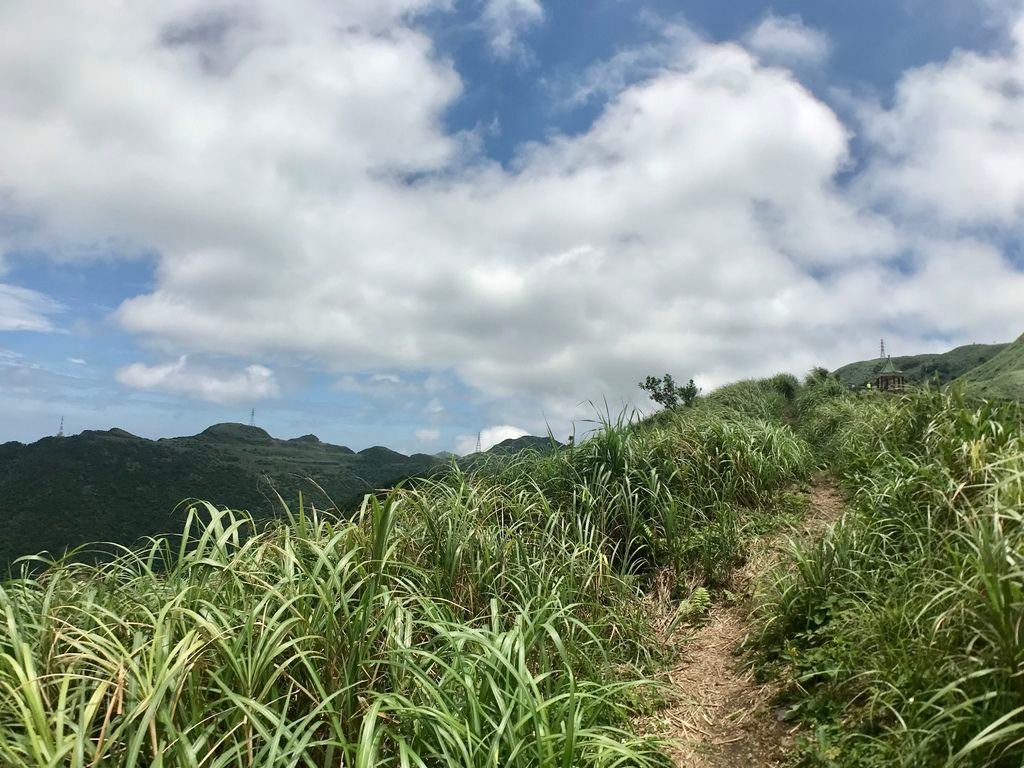 新北登山-瑞芳景點-走訪金字碑古道、寂寞公路跟不厭亭【丁小羽登山篇】