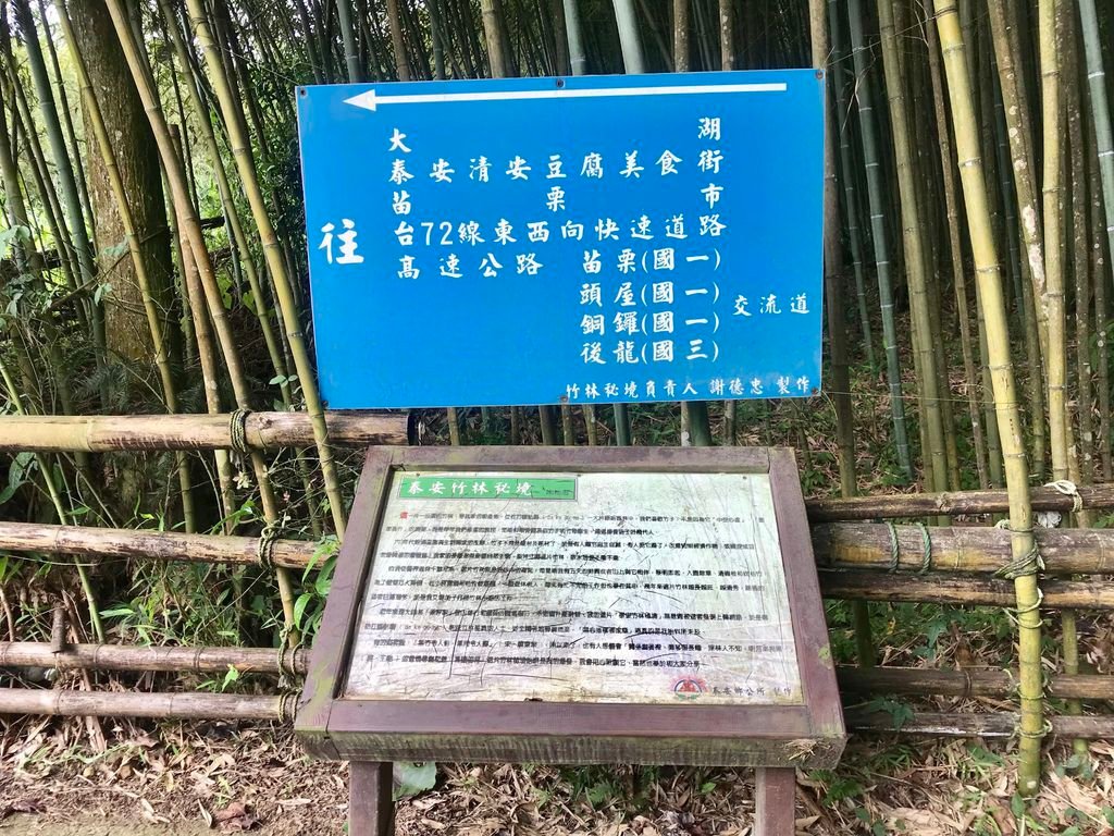 苗栗景點-泰安烏嘎彥竹林-台灣版的京都嵐山竹林小徑【丁小羽旅遊篇】