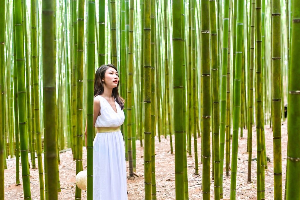 苗栗景點-泰安烏嘎彥竹林-台灣版的京都嵐山竹林小徑【丁小羽旅遊篇】