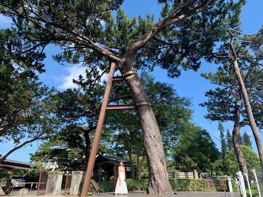 花蓮二日遊的旅遊行程可以怎麼安排？來看看丁小羽的花蓮景點懶人包