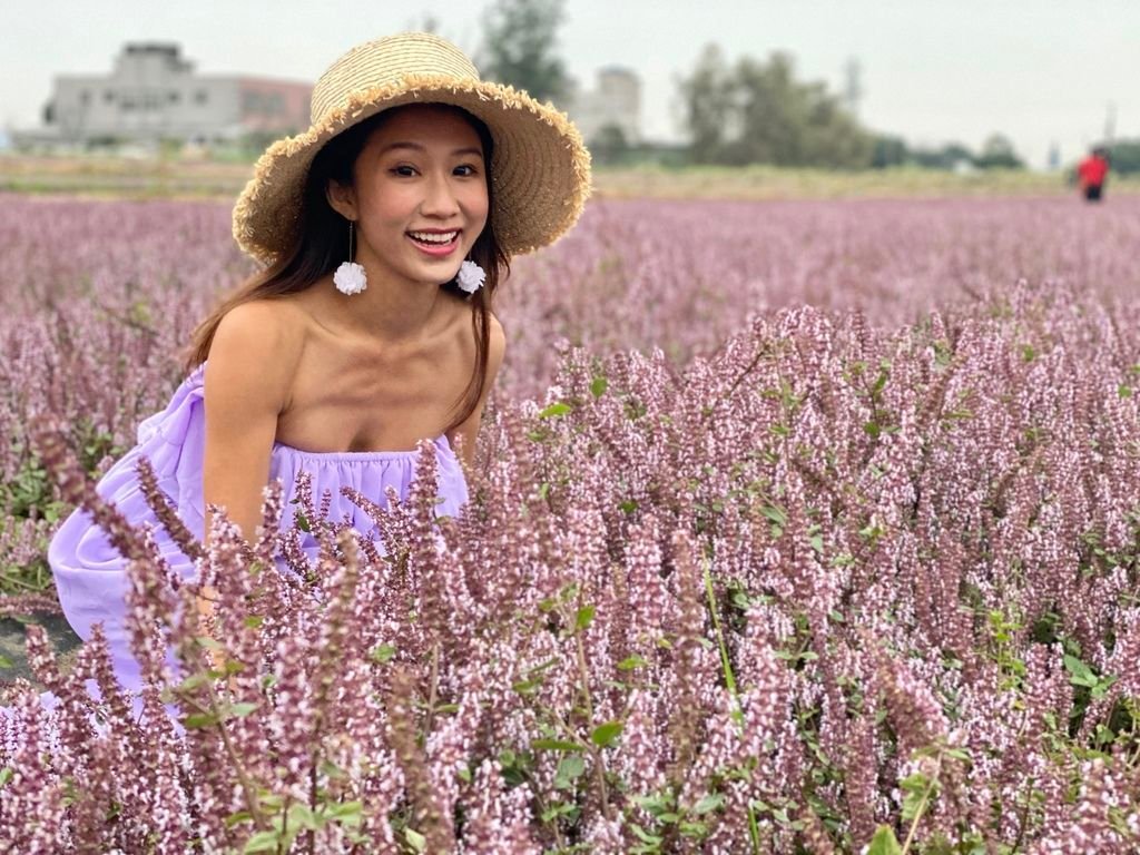 桃園楊梅景點-桃園仙草花節，超美的紫色花海，彷彿置身南法來趟紫爆仙境遊