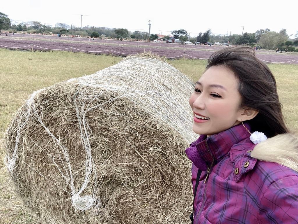 桃園楊梅景點-桃園仙草花節，超美的紫色花海，彷彿置身南法來趟紫爆仙境遊