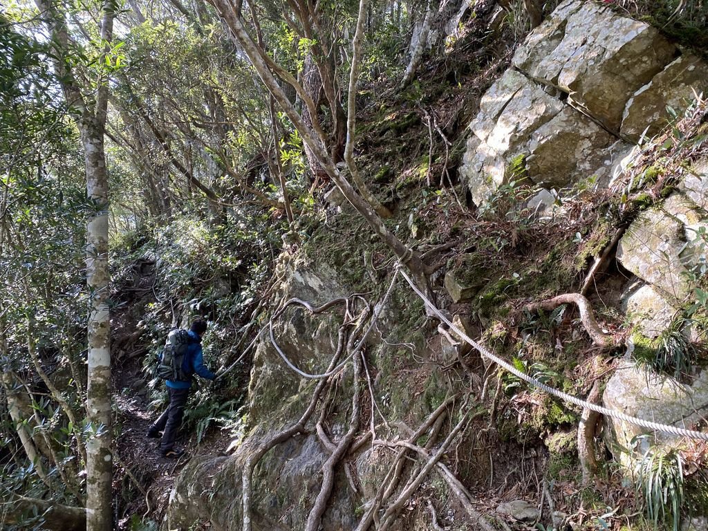 桃園景點-野溪溫泉的秘境，在夢幻七彩岩壁的四稜溫泉享受森林浴