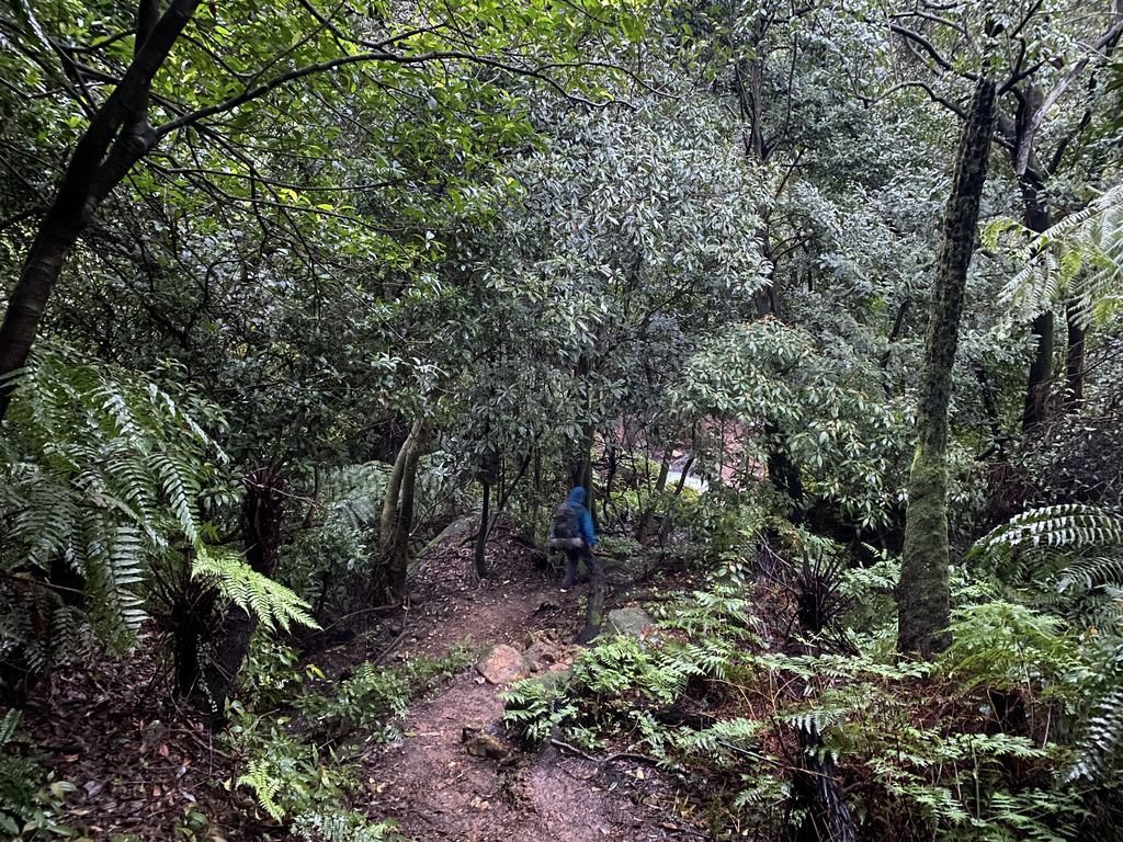 隱藏在陽明山的台北野溪溫泉，一起到下七股溫泉泡超美牛奶湯
