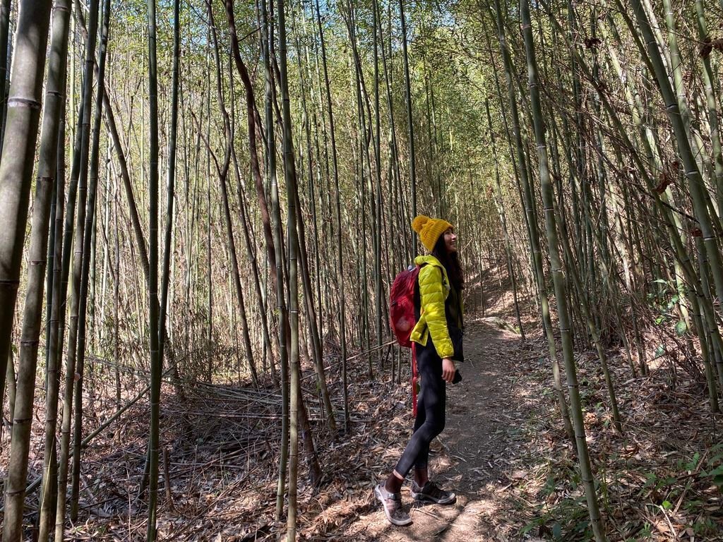 新竹野溪溫泉-隱藏在山林中的露天包廂，在泰崗溫泉泡湯