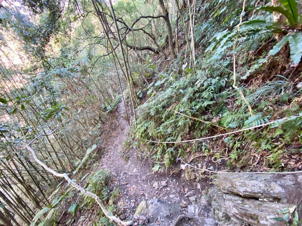 新竹野溪溫泉-隱藏在山林中的露天包廂，在泰崗溫泉泡湯