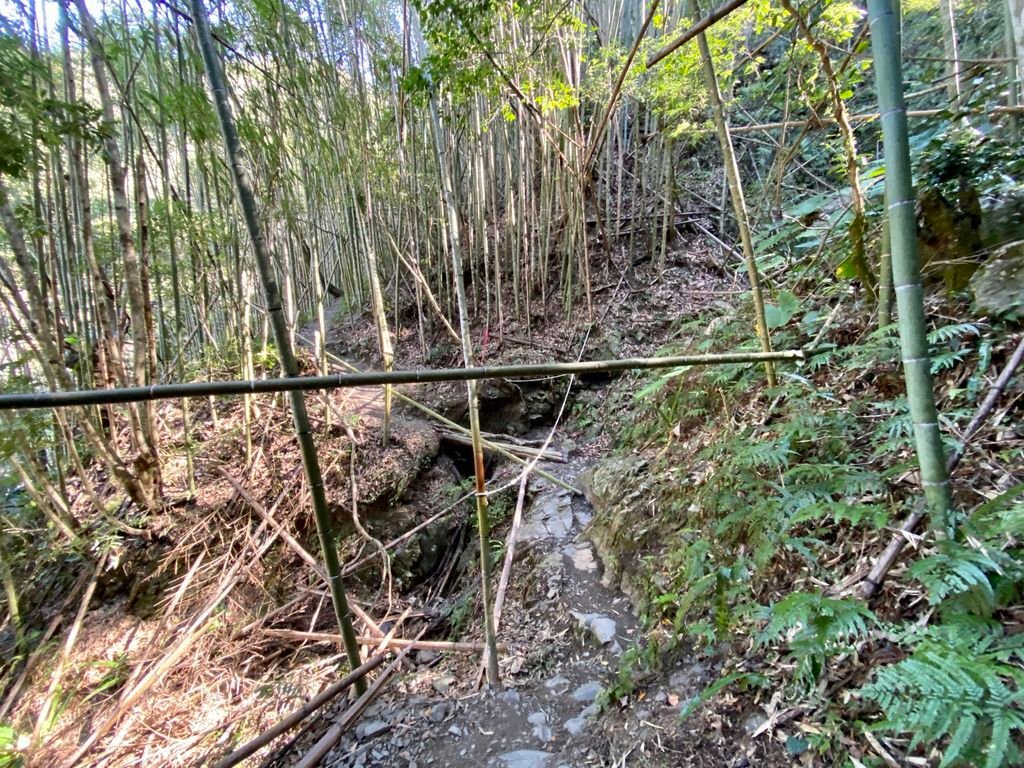 新竹野溪溫泉-隱藏在山林中的露天包廂，在泰崗溫泉泡湯