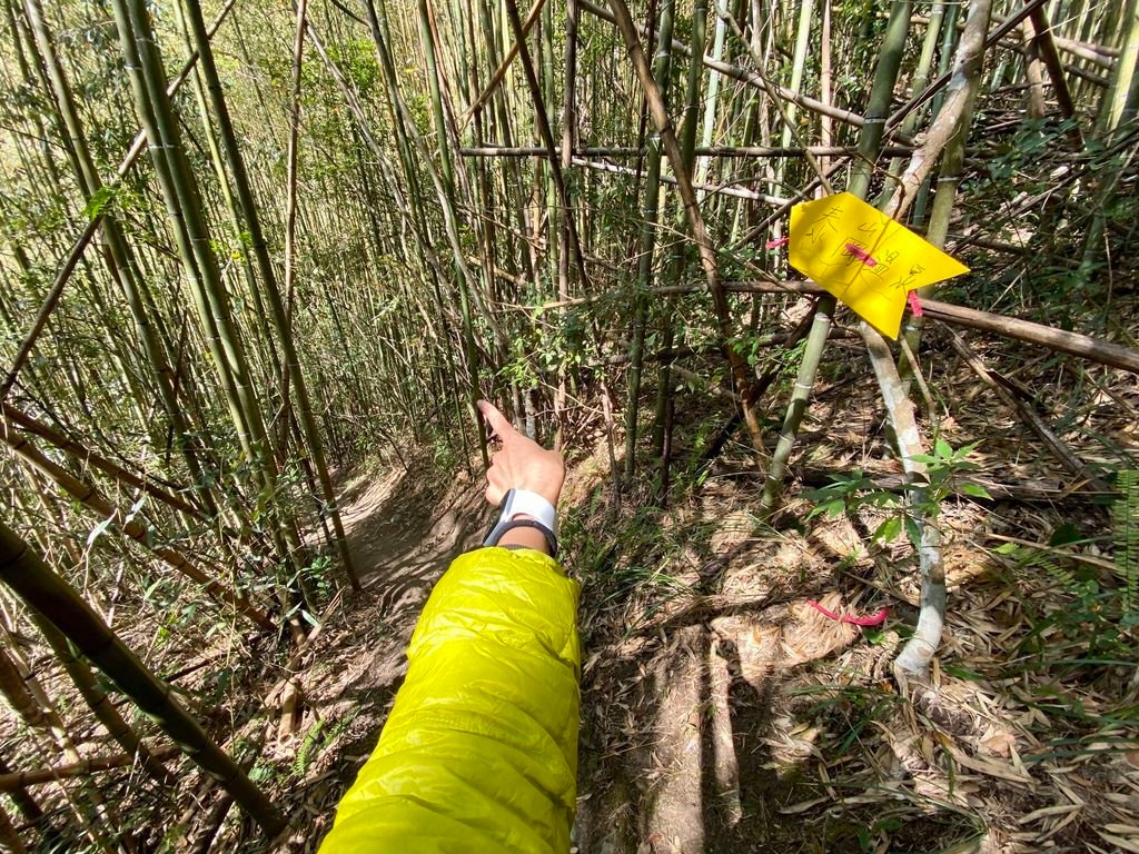 新竹野溪溫泉-隱藏在山林中的露天包廂，在泰崗溫泉泡湯