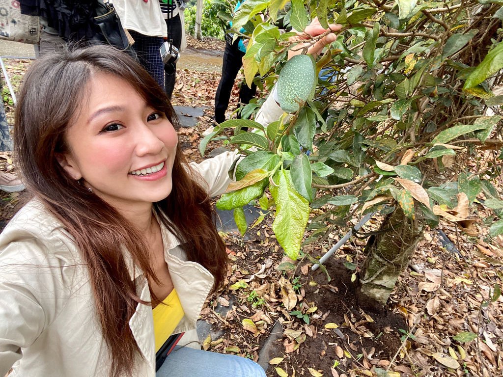 高雄六龜旅遊怎麼玩？六龜景點懶人包一次告訴你