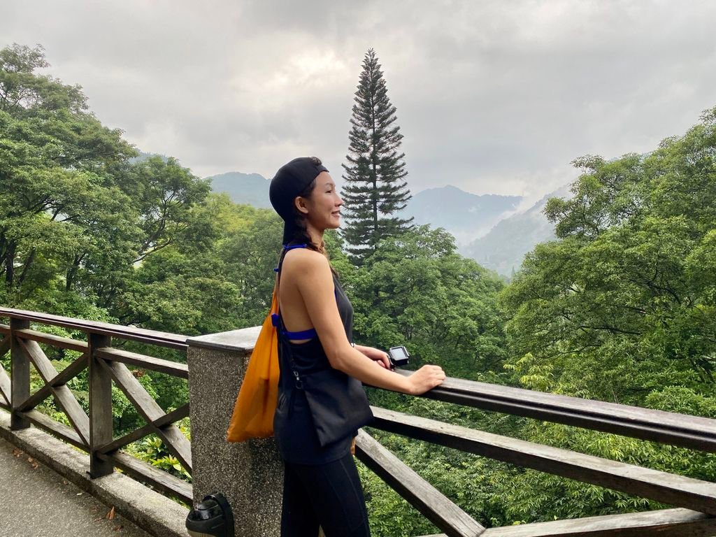 三峽景點-台灣唯一的亞熱帶雨林步道，大板根森林步道