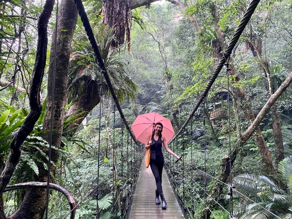 三峽景點-台灣唯一的亞熱帶雨林步道，大板根森林步道