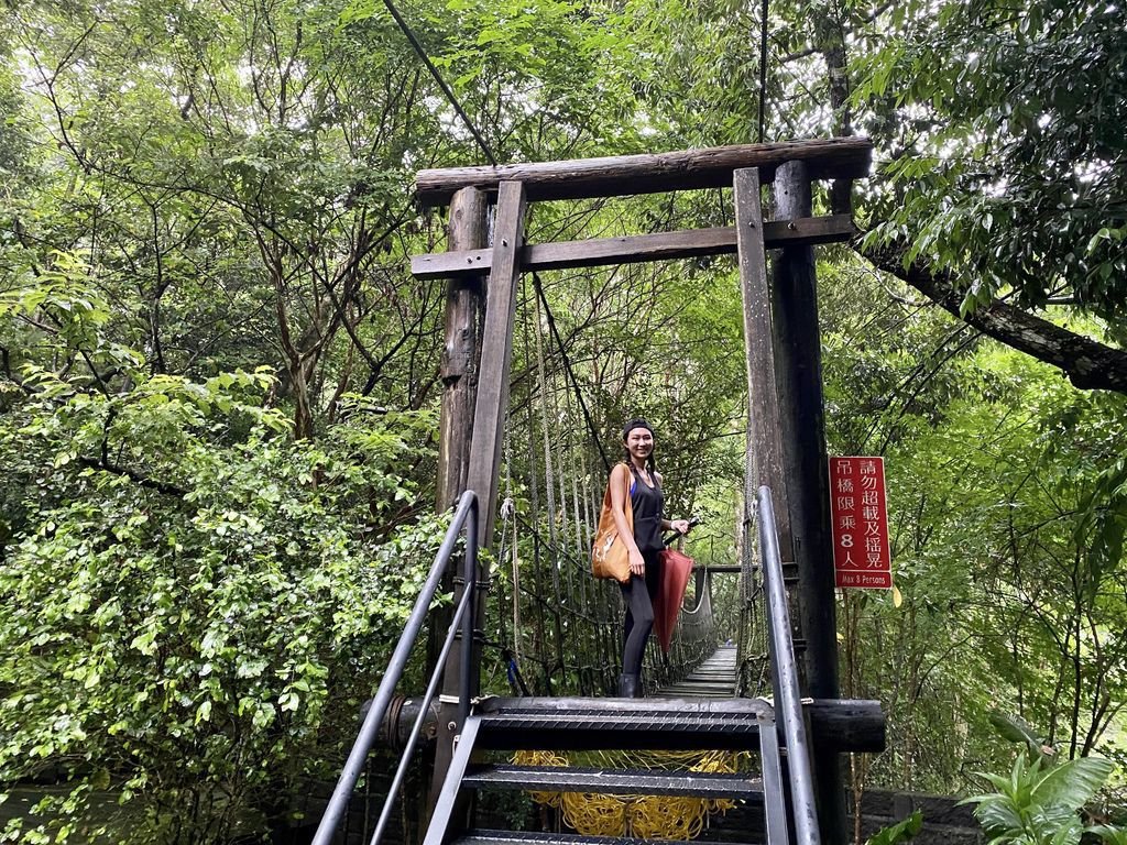 三峽景點-台灣唯一的亞熱帶雨林步道，大板根森林步道