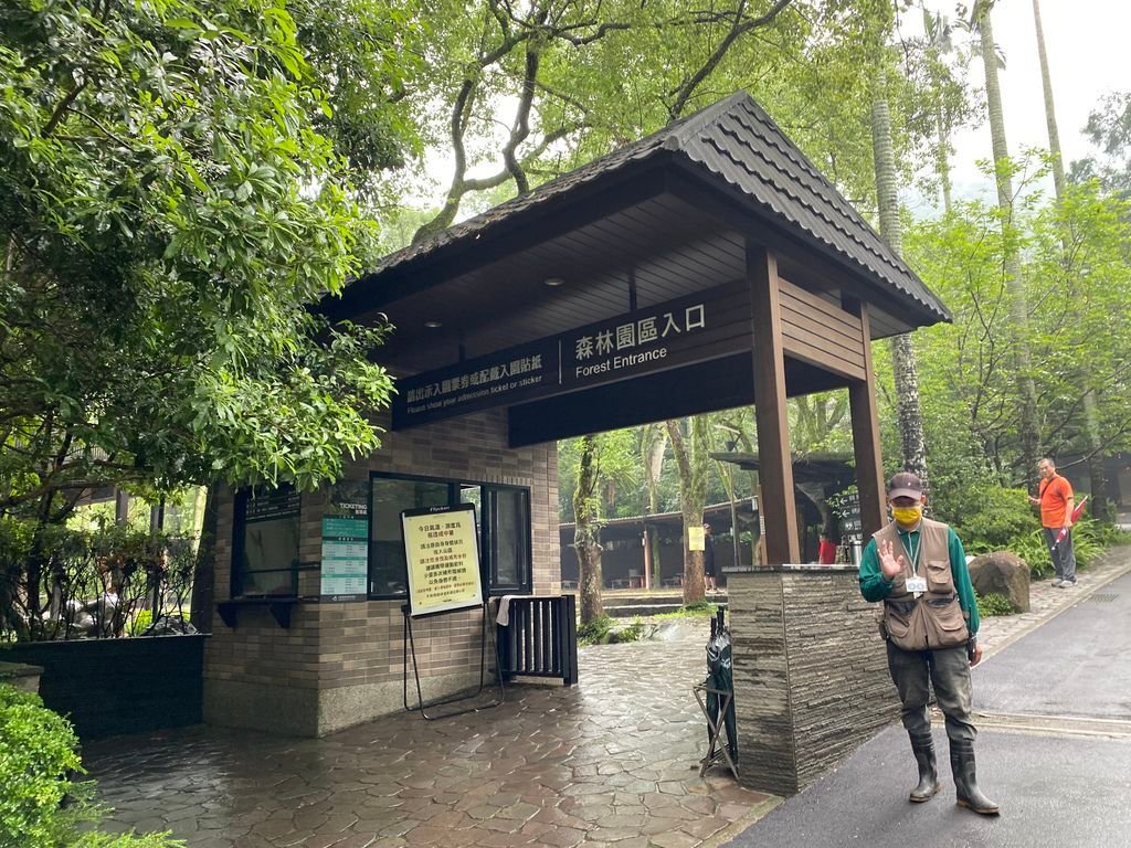 三峽景點-台灣唯一的亞熱帶雨林步道，大板根森林步道