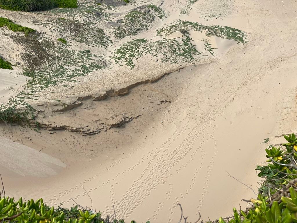 屏東墾丁景點-風吹砂-佳鵝公路上的奇景，台灣罕見的沙河、沙瀑地形