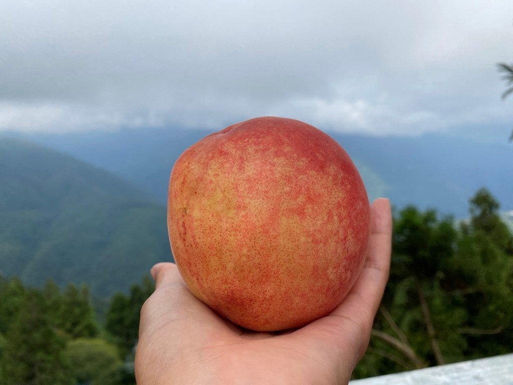 桃園復興景點-拉拉山新世紀休閒渡假農場