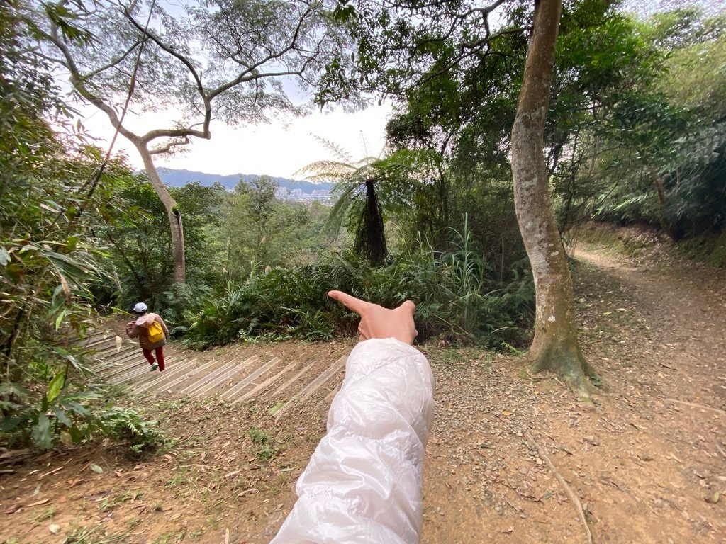 新店登山步道-和美山登山步道，遠看碧潭風景，賞螢火蟲的好地方