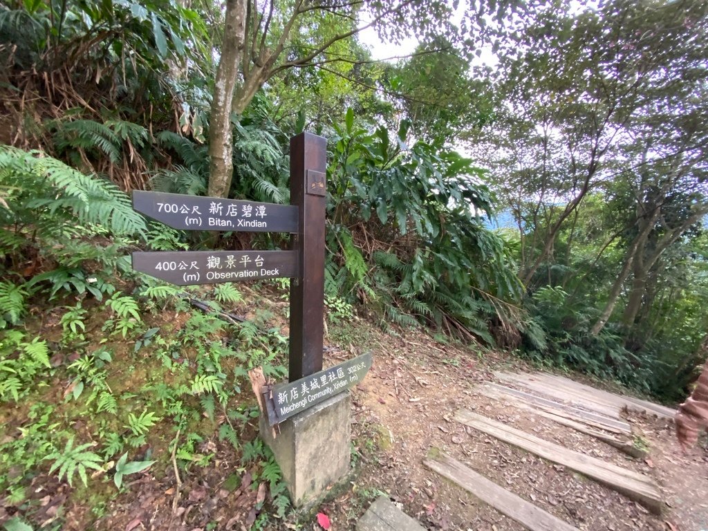 新店登山步道-和美山登山步道，遠看碧潭風景，賞螢火蟲的好地方